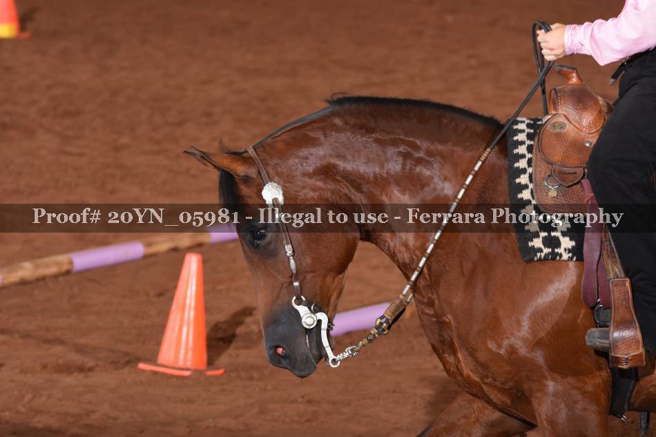Proof 20YN_05981