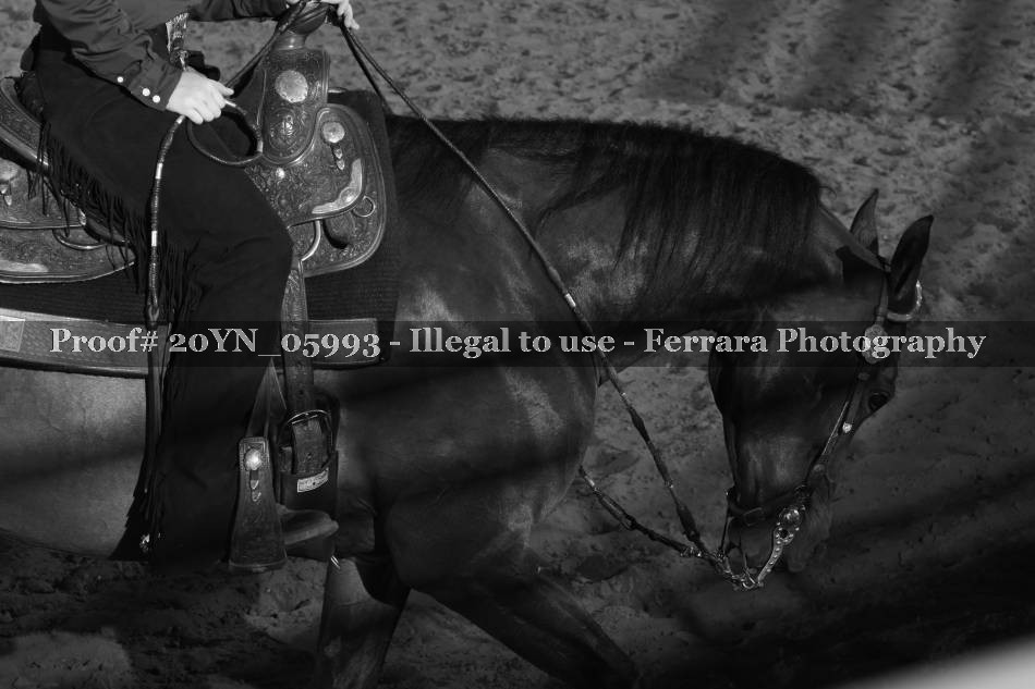 Proof 20YN_05993