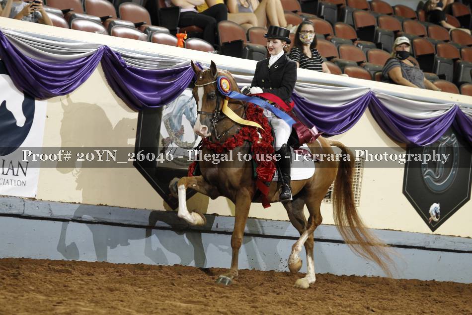 Proof 20YN_26046