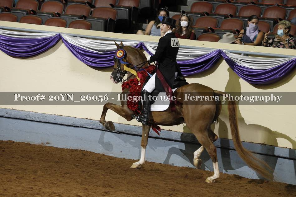 Proof 20YN_26056