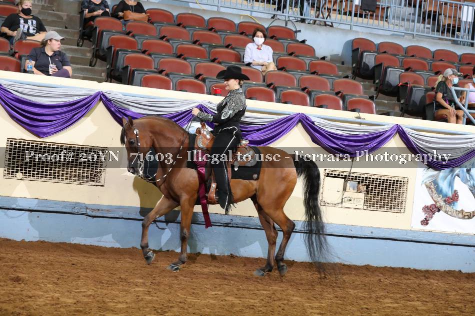 Proof 20YN_71603
