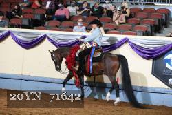 20YN_71642 proof