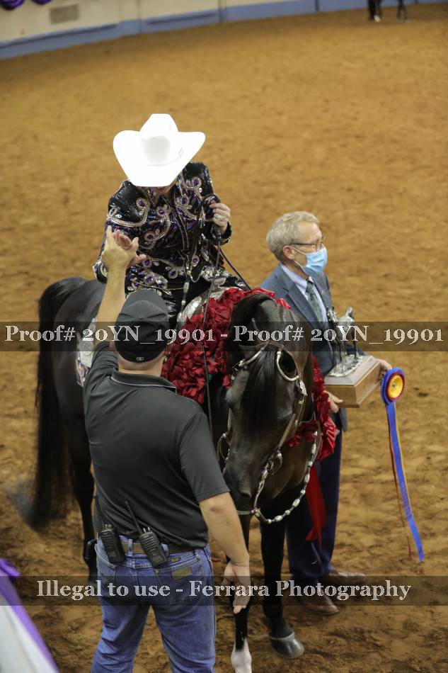 Proof 20YN_19901