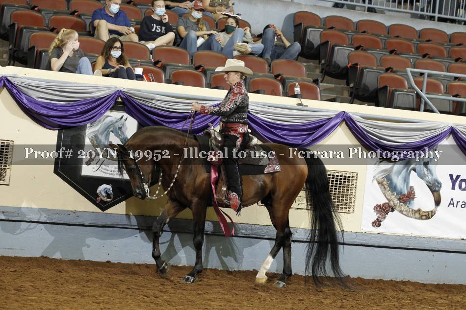 Proof 20YN_19952