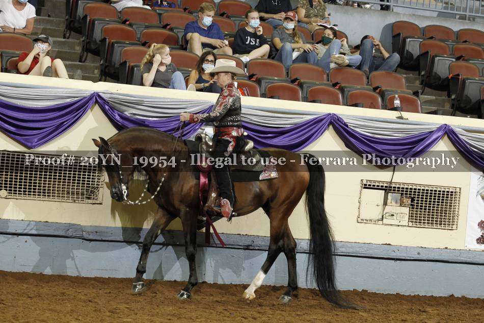 Proof 20YN_19954