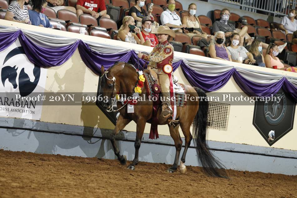 Proof 20YN_19963