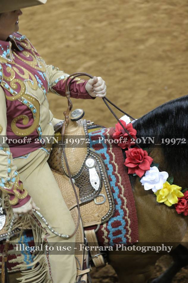 Proof 20YN_19972