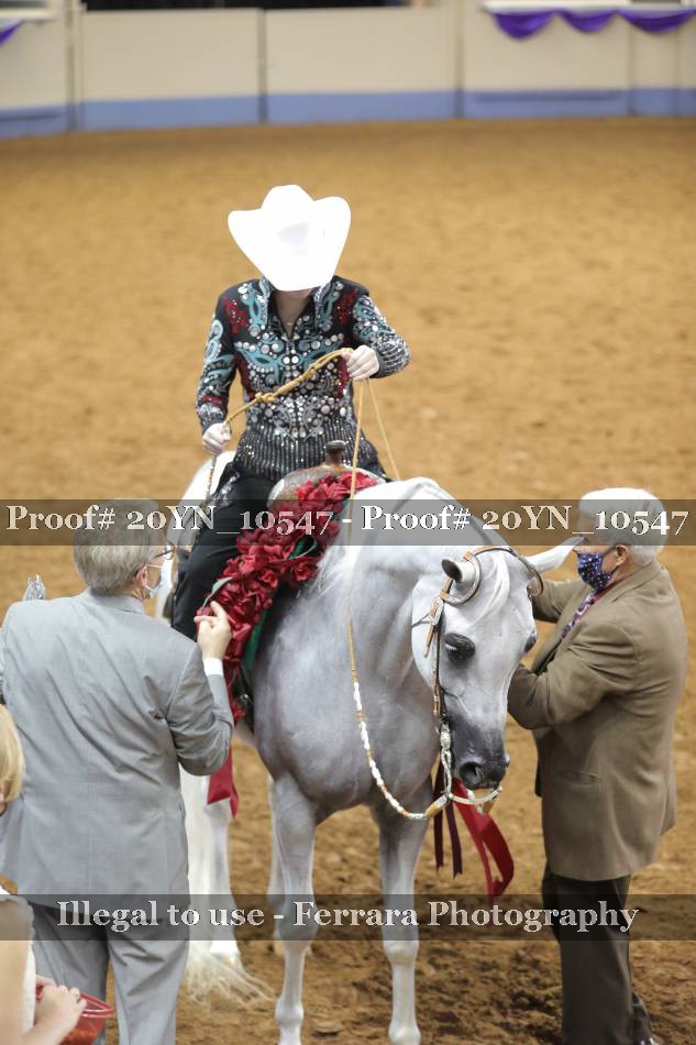 Proof 20YN_10547