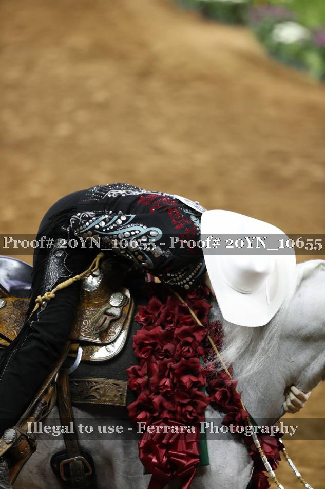 Proof 20YN_10655