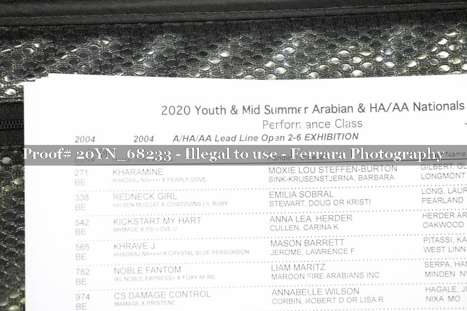 Proof 20YN_68233