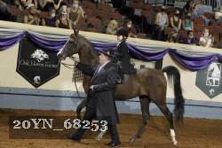 20YN_68253 proof