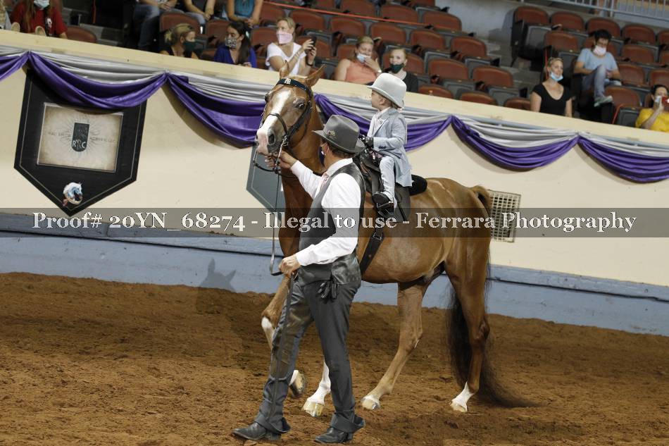 Proof 20YN_68274