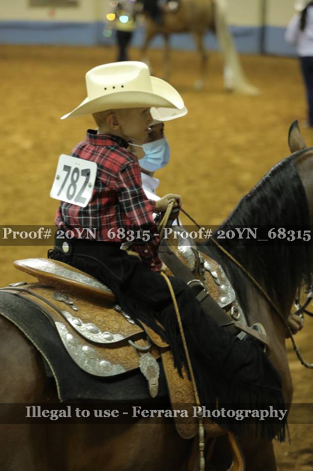 Proof 20YN_68315