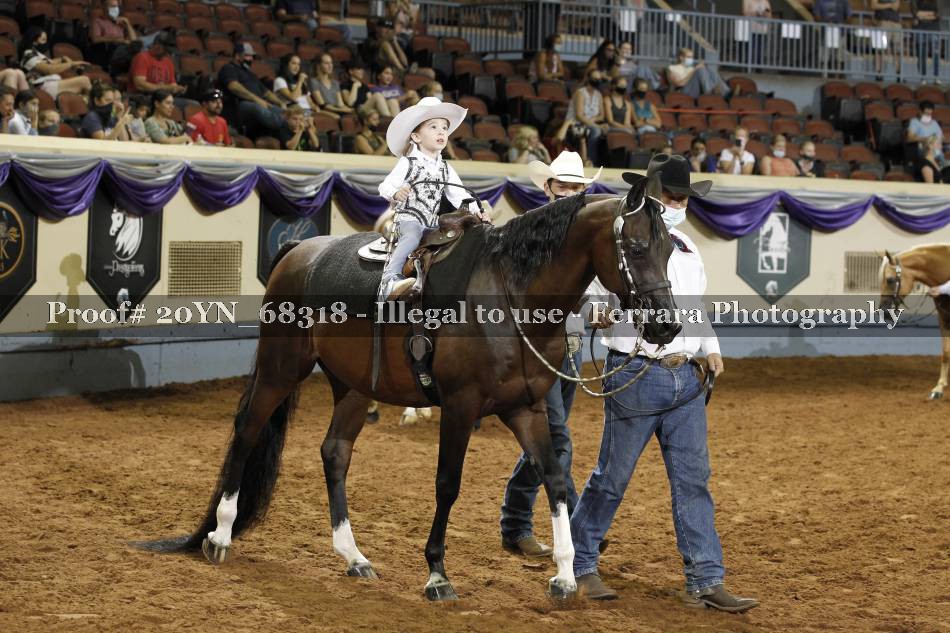 Proof 20YN_68318