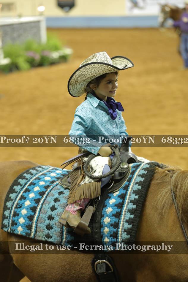 Proof 20YN_68332