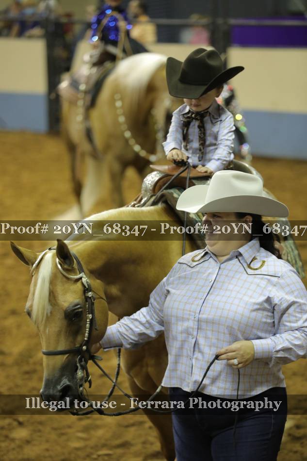 Proof 20YN_68347