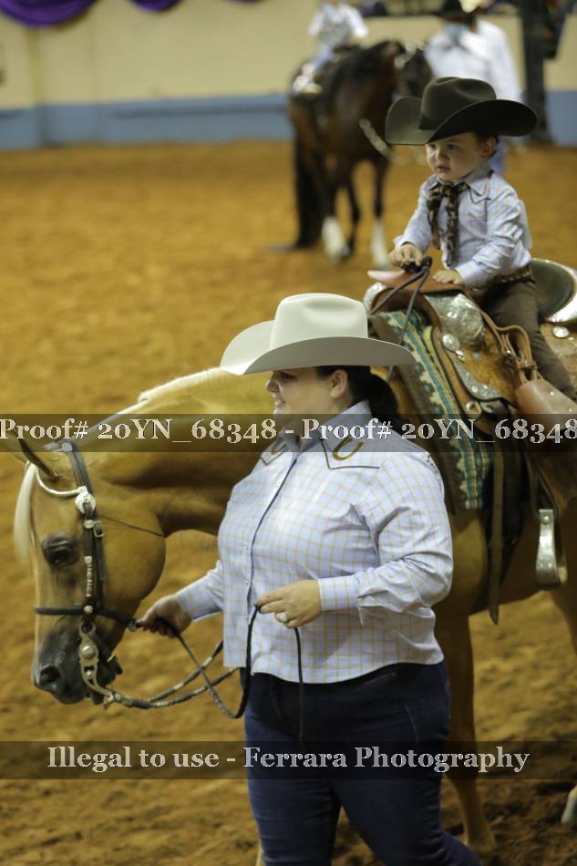 Proof 20YN_68348
