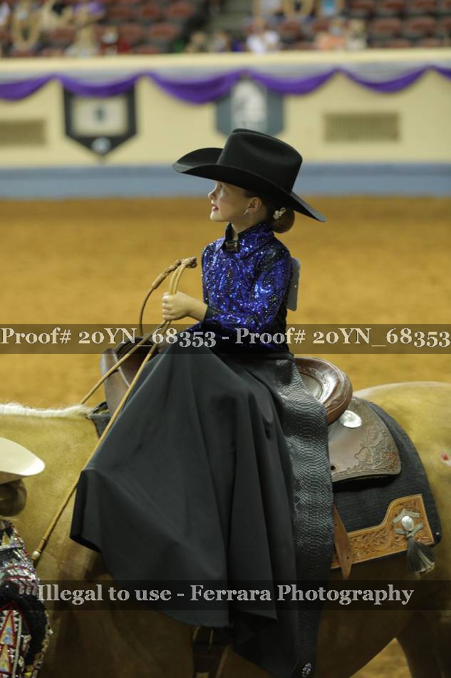 Proof 20YN_68353