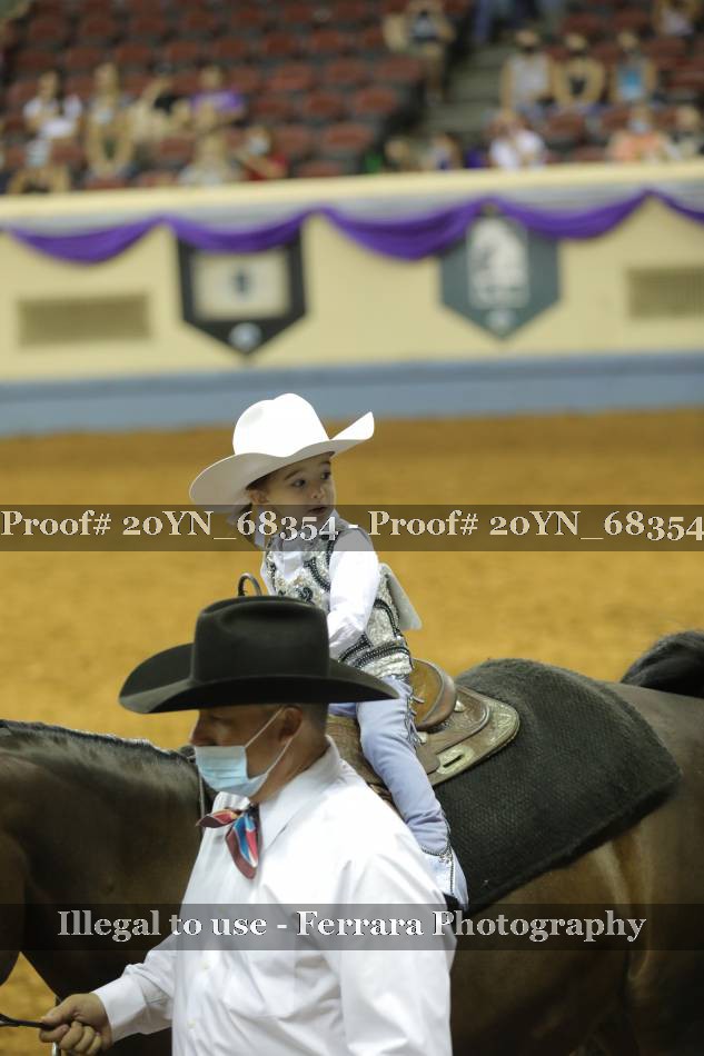 Proof 20YN_68354