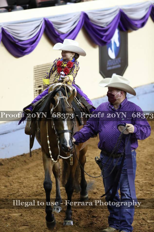 Proof 20YN_68373