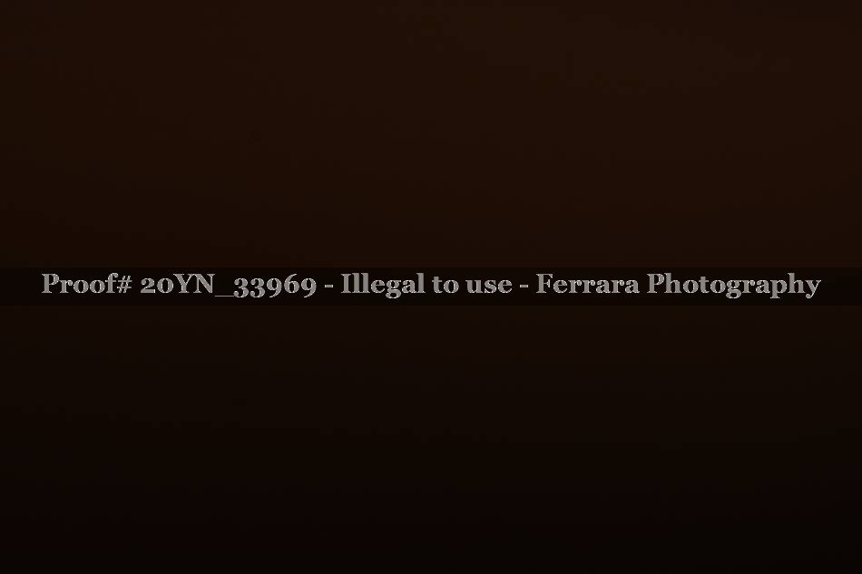 Proof 20YN_33969