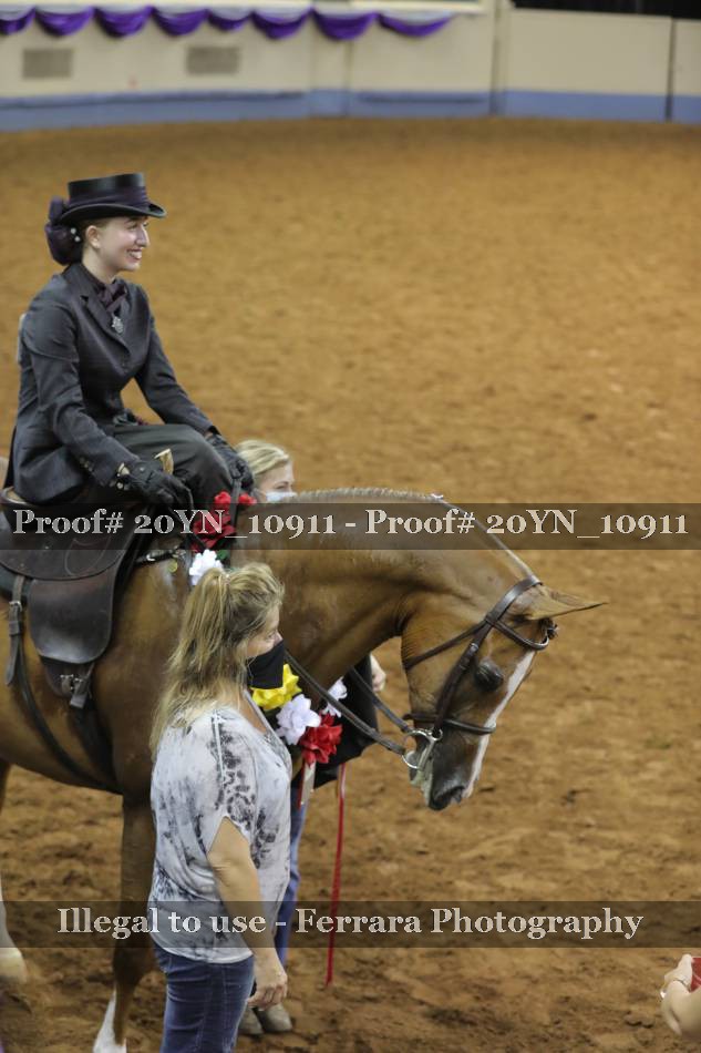 Proof 20YN_10911