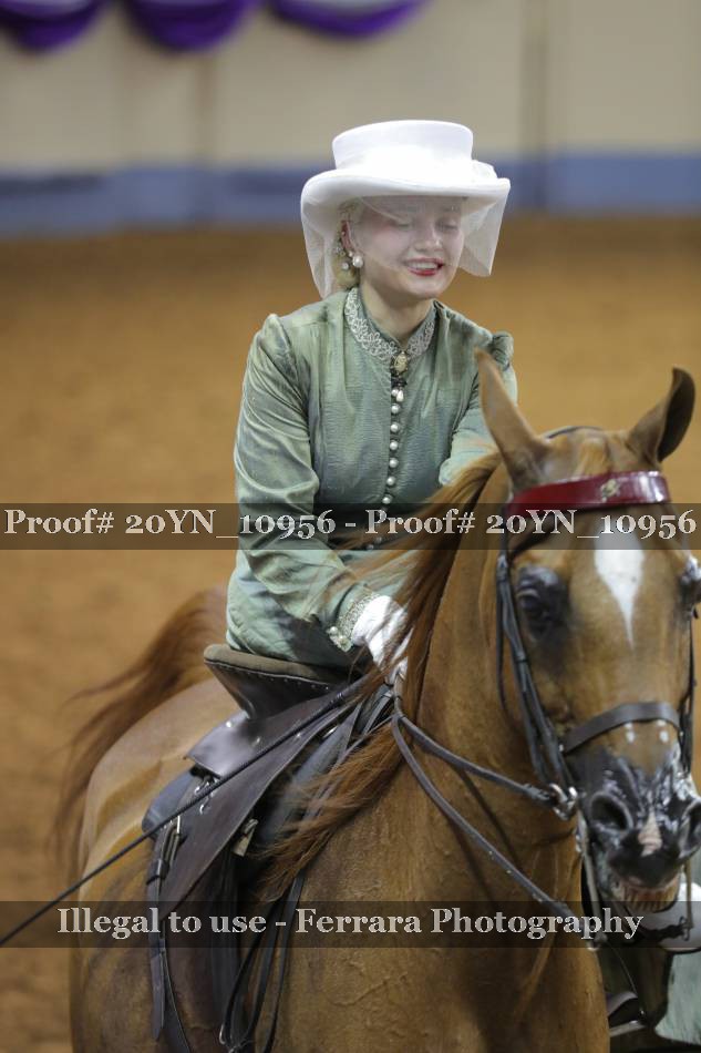 Proof 20YN_10956