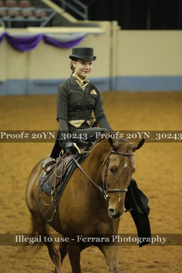 Proof 20YN_30243