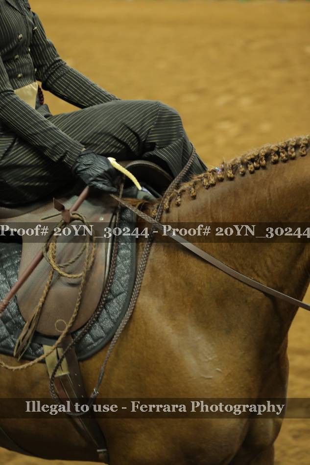 Proof 20YN_30244