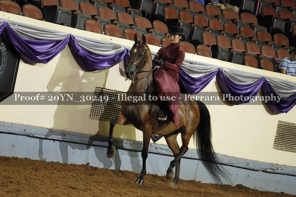 Proof 20YN_30249