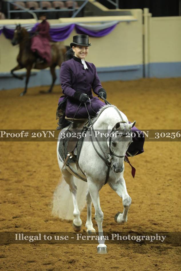 Proof 20YN_30256