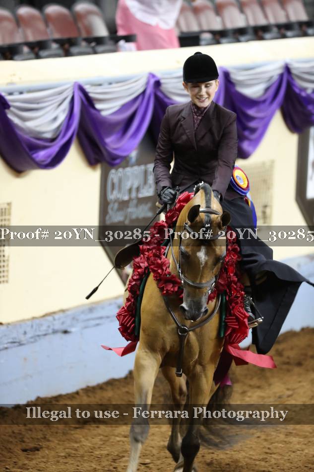 Proof 20YN_30285