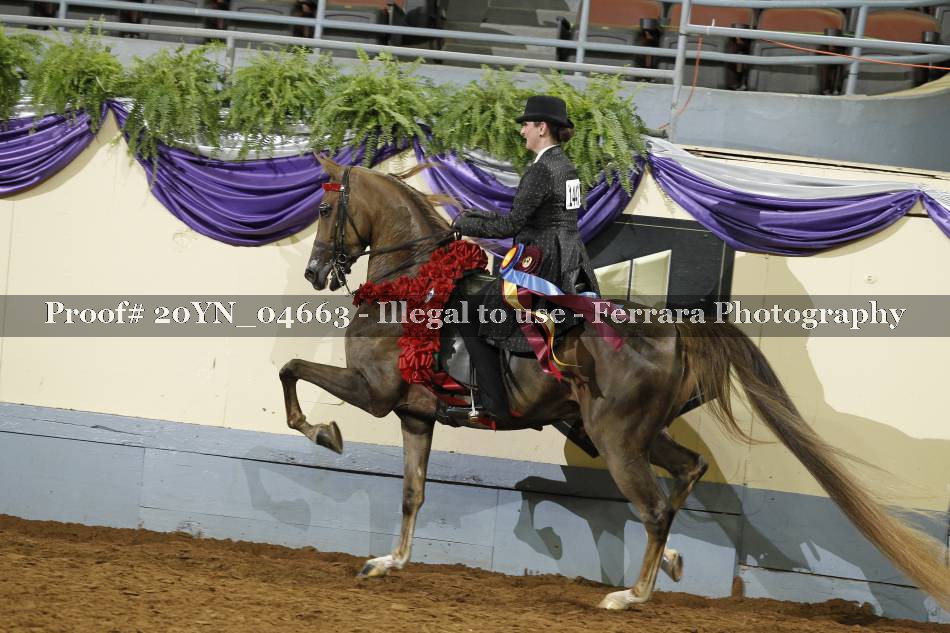 Proof 20YN_04663