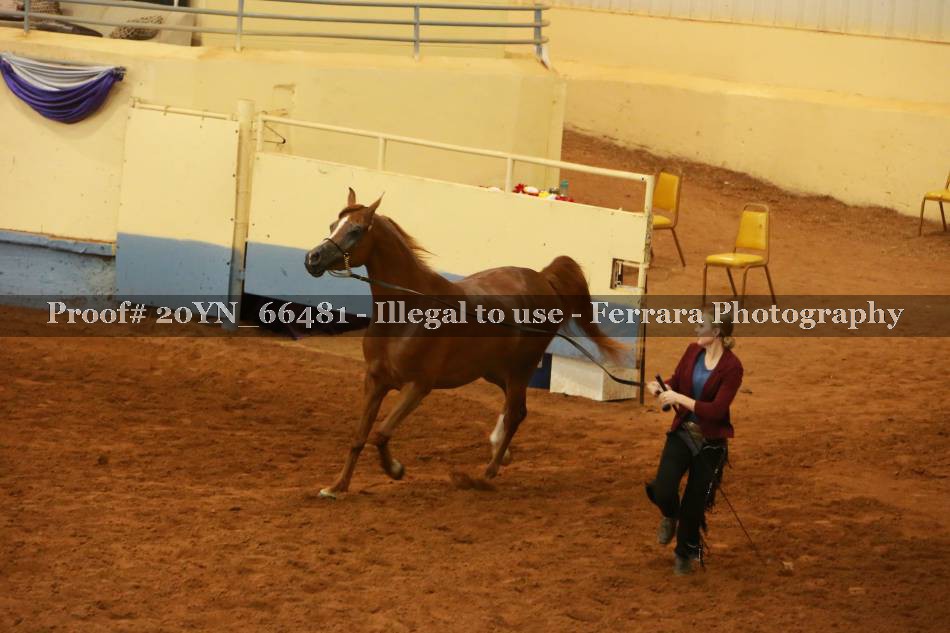Proof 20YN_66481