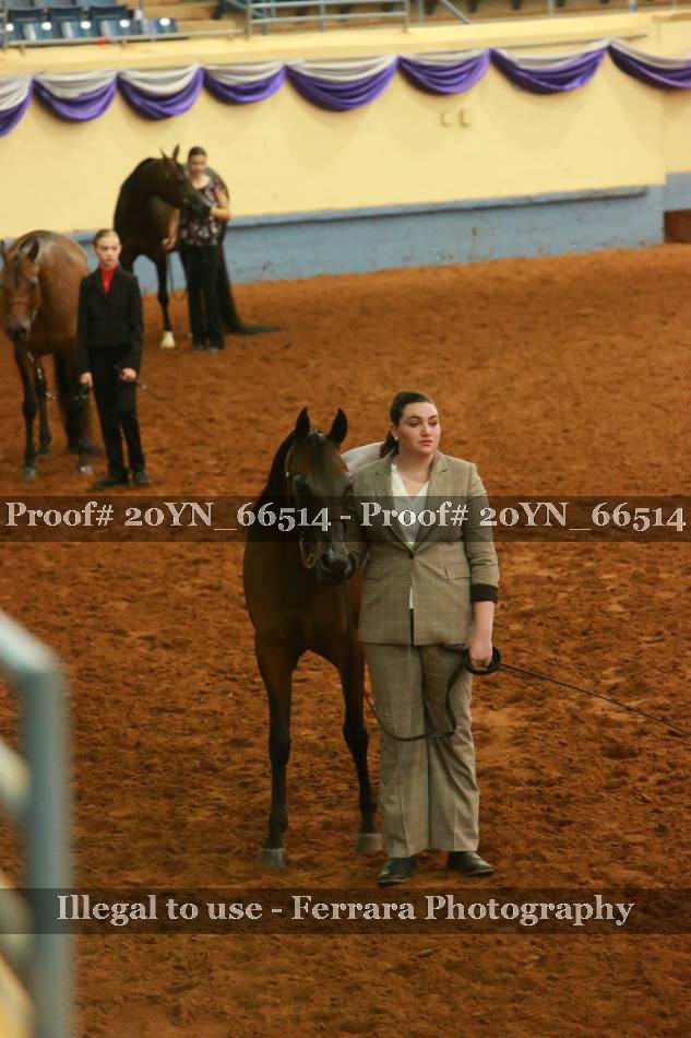 Proof 20YN_66514