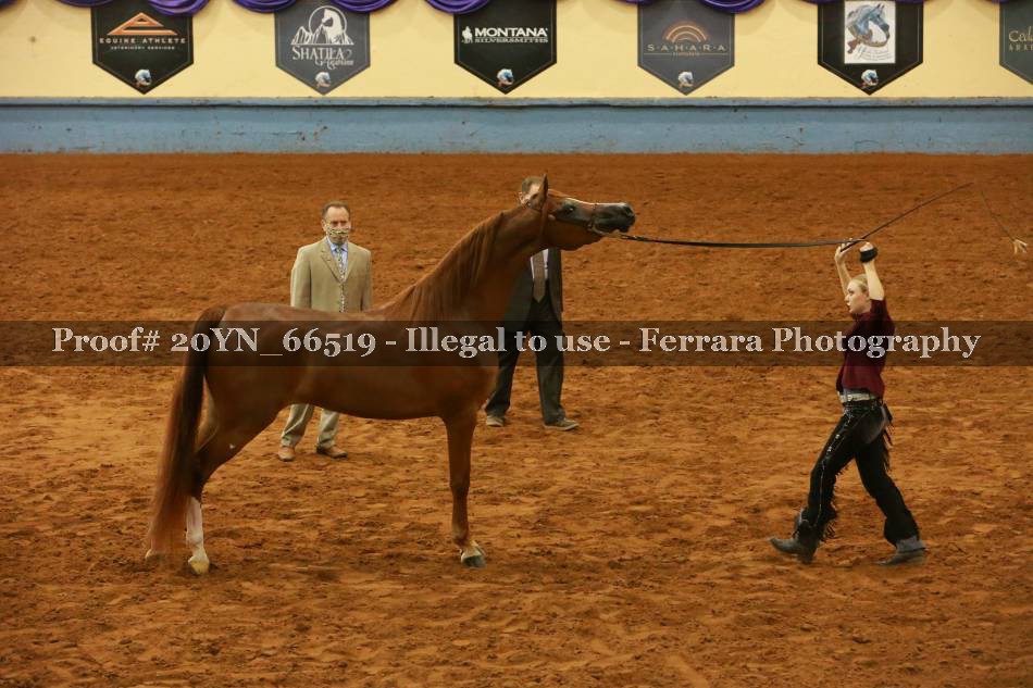 Proof 20YN_66519