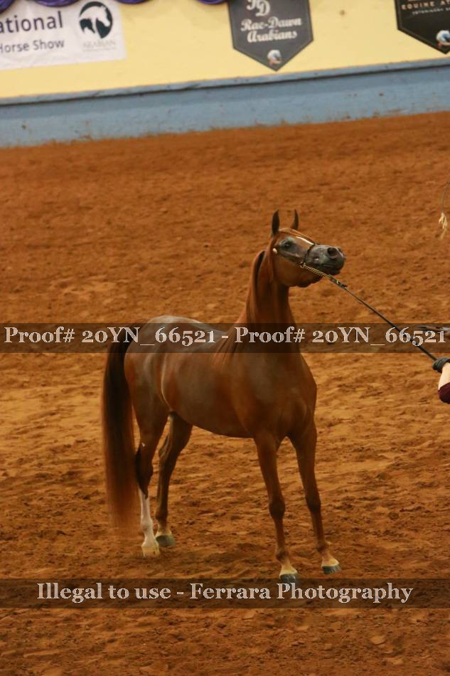 Proof 20YN_66521