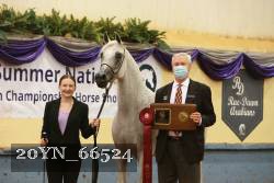 20YN_66524 proof
