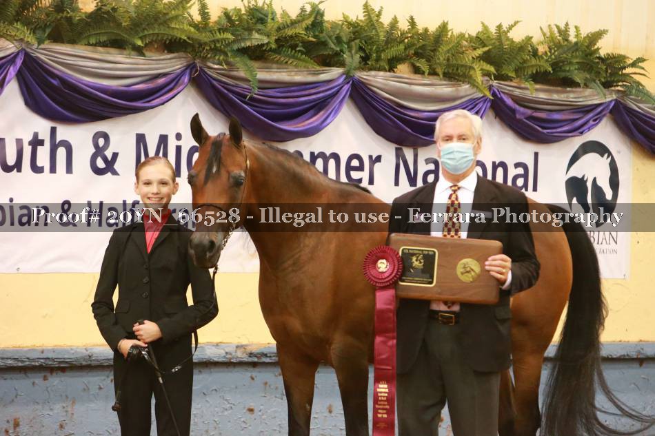 Proof 20YN_66528