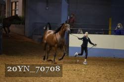 20YN_70708 proof