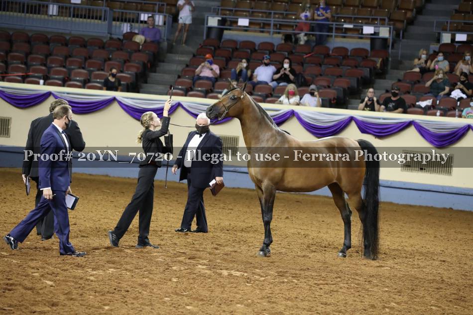 Proof 20YN_70720