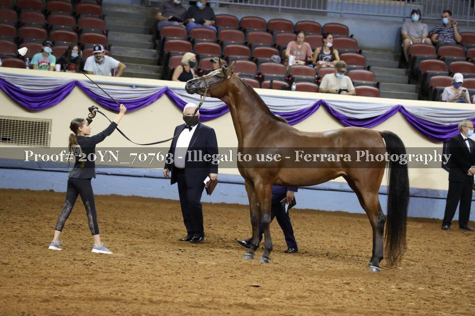 Proof 20YN_70763
