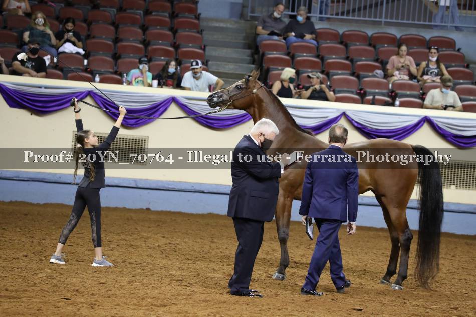 Proof 20YN_70764