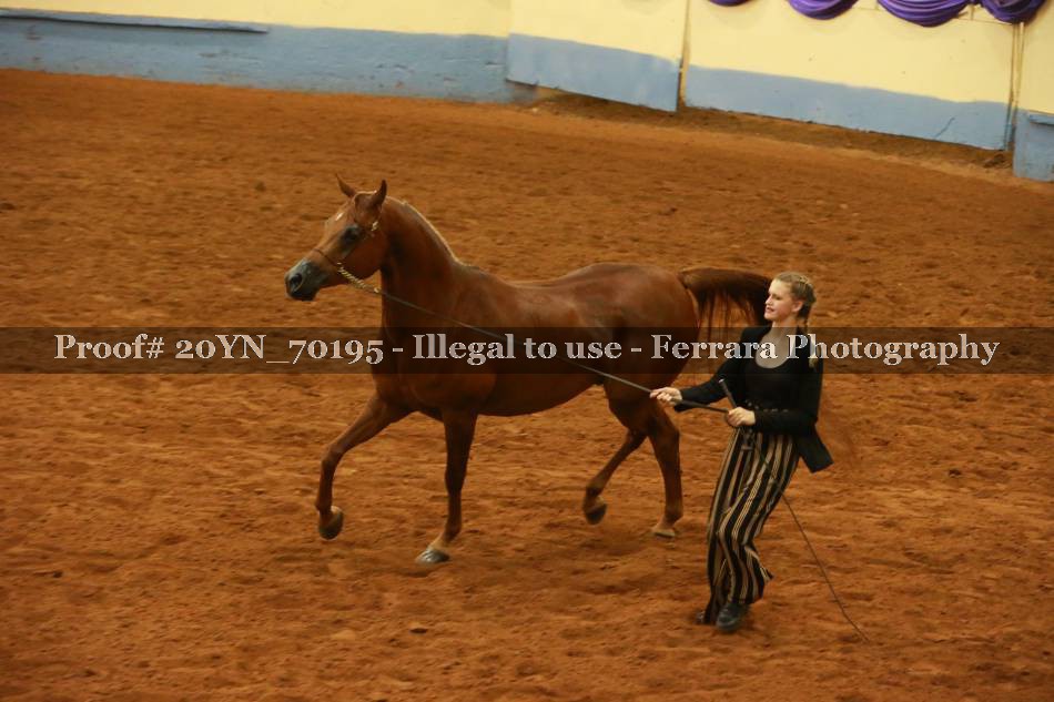 Proof 20YN_70195