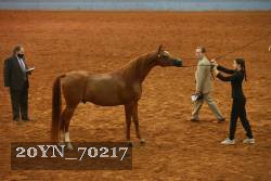 20YN_70217 proof