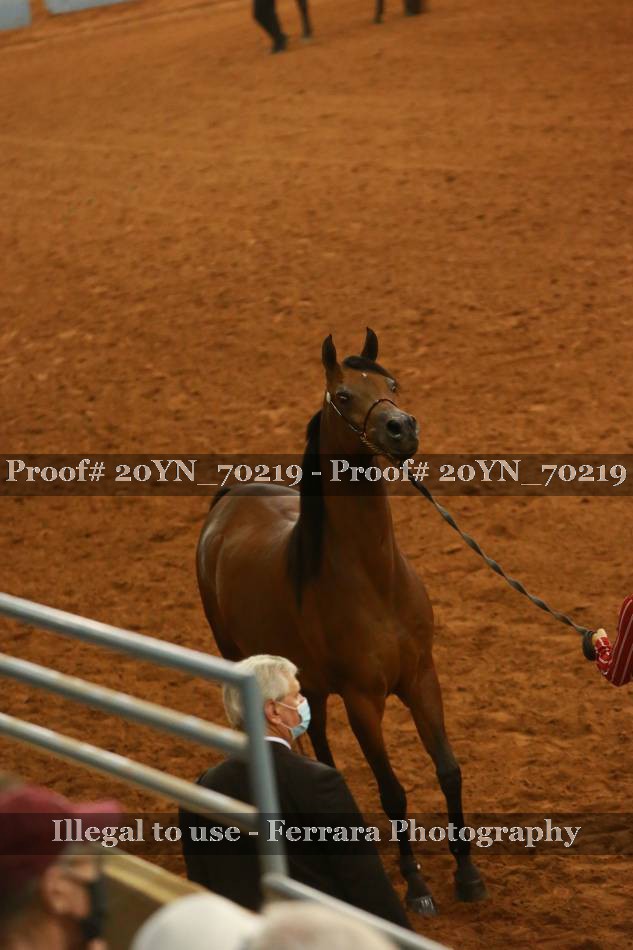 Proof 20YN_70219