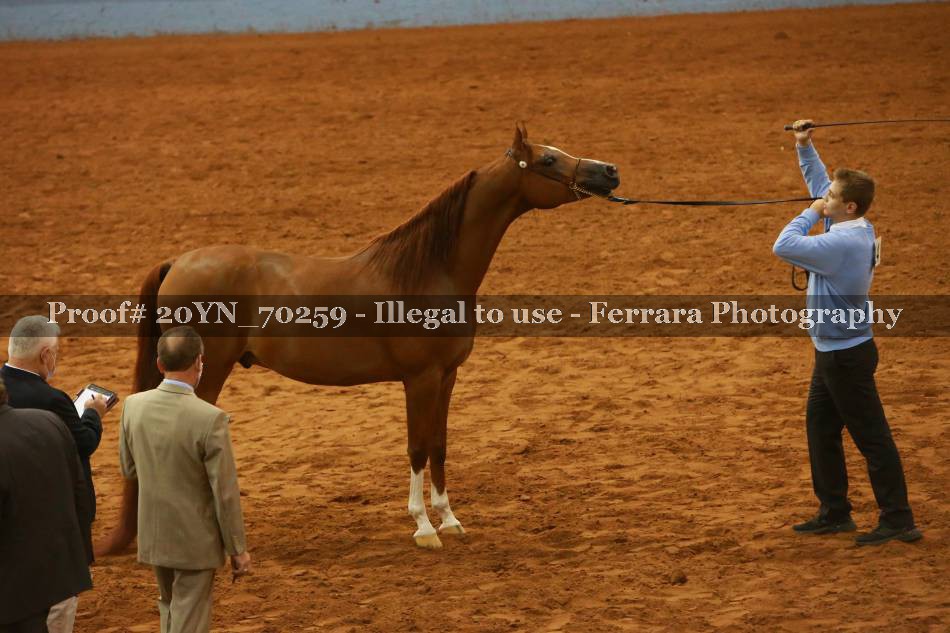 Proof 20YN_70259