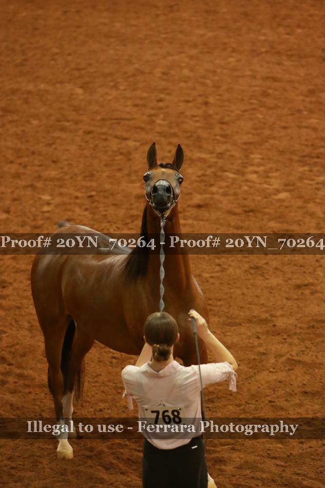 Proof 20YN_70264