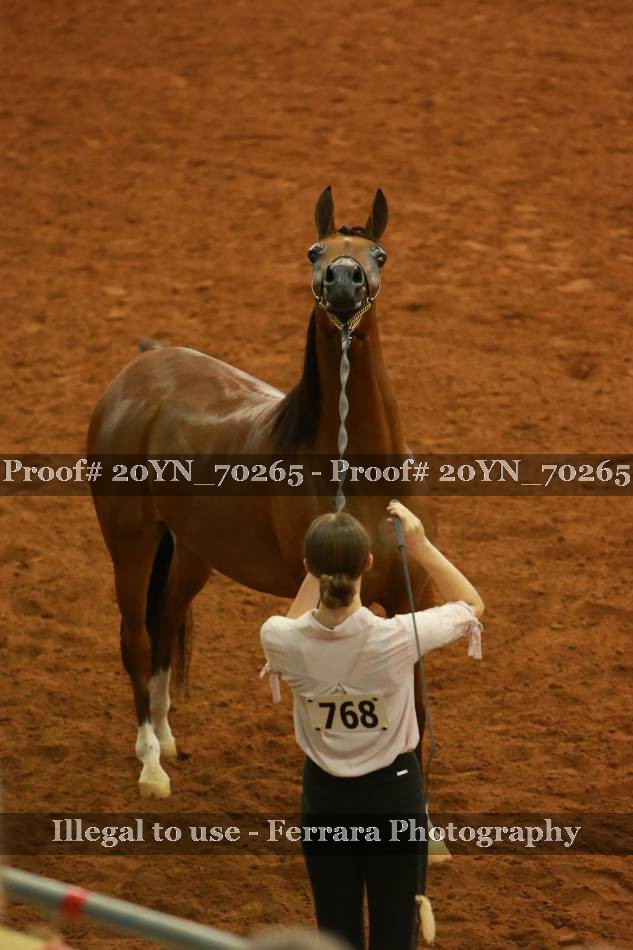 Proof 20YN_70265