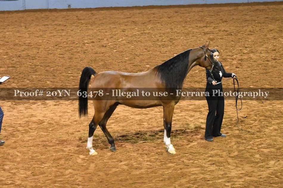 Proof 20YN_63478